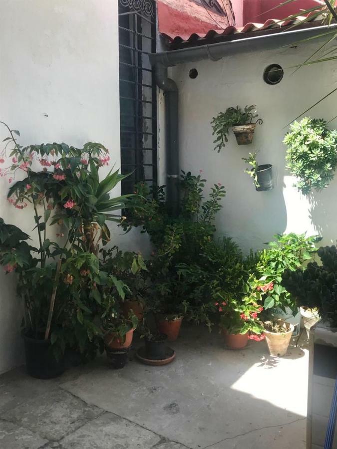 Mariniguez Apartament. 赫雷斯 外观 照片